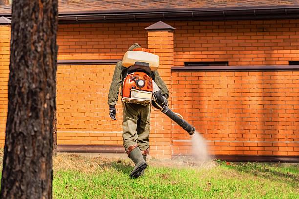 Trusted Termite Control service in Tubac, AZ - Nex Pest Control